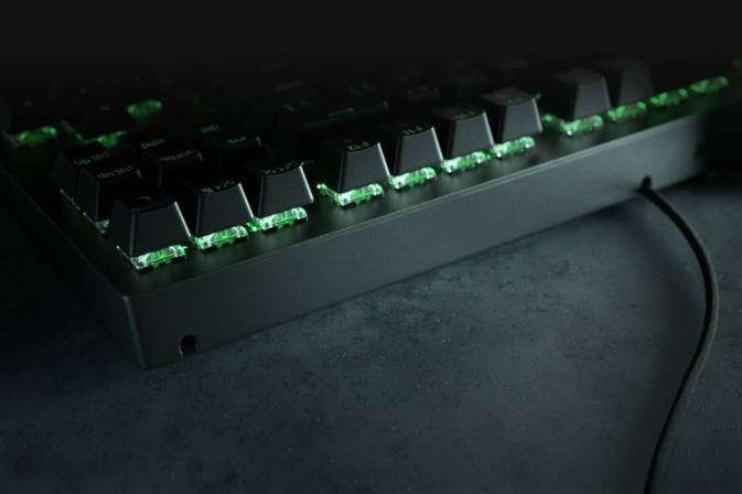 educacion fisica Razer blackwidow v3 tenkeyless - interruptor amarillo - nosotros negro 222R62 teclado